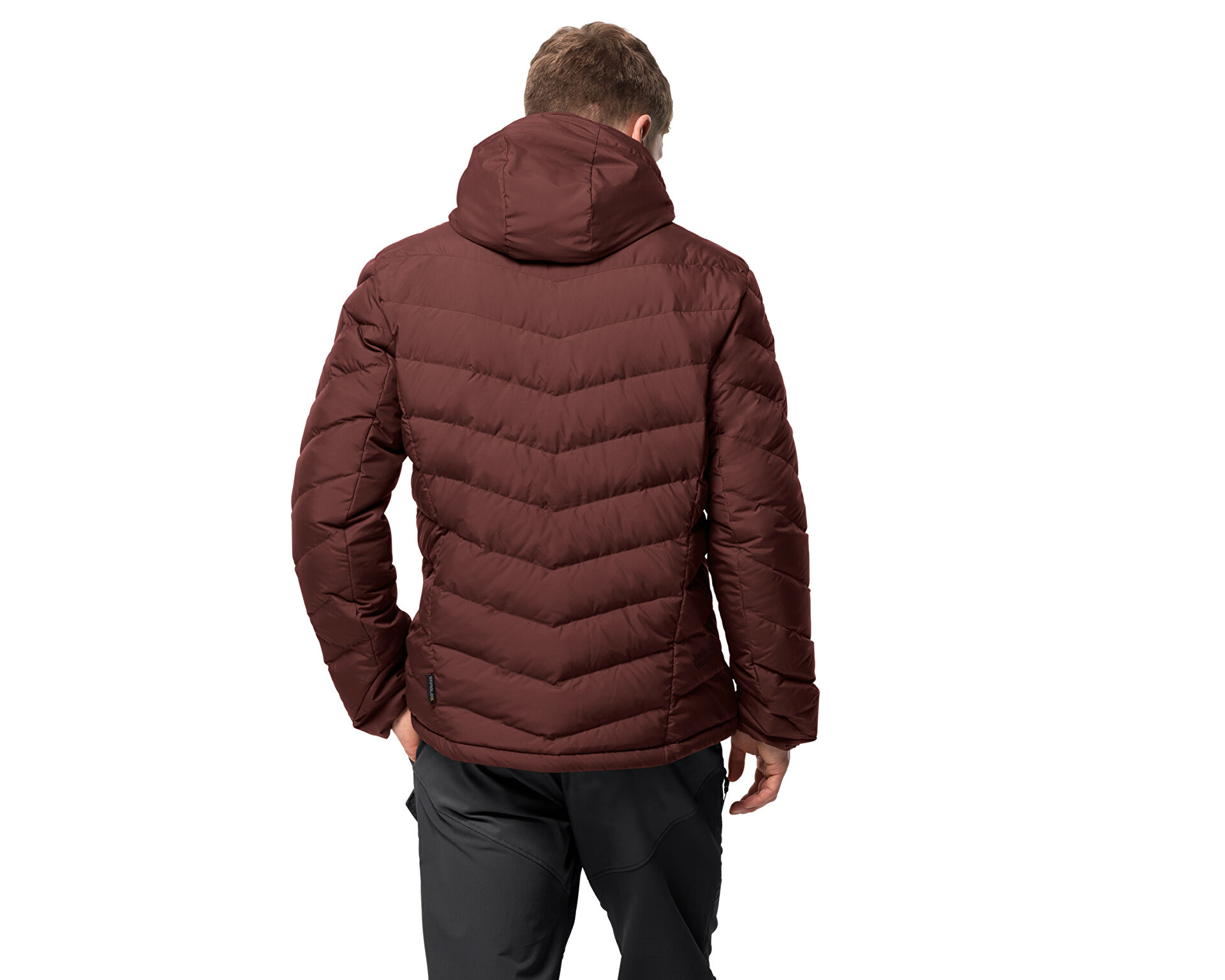 Jack wolfskin fairmont erkek mont top