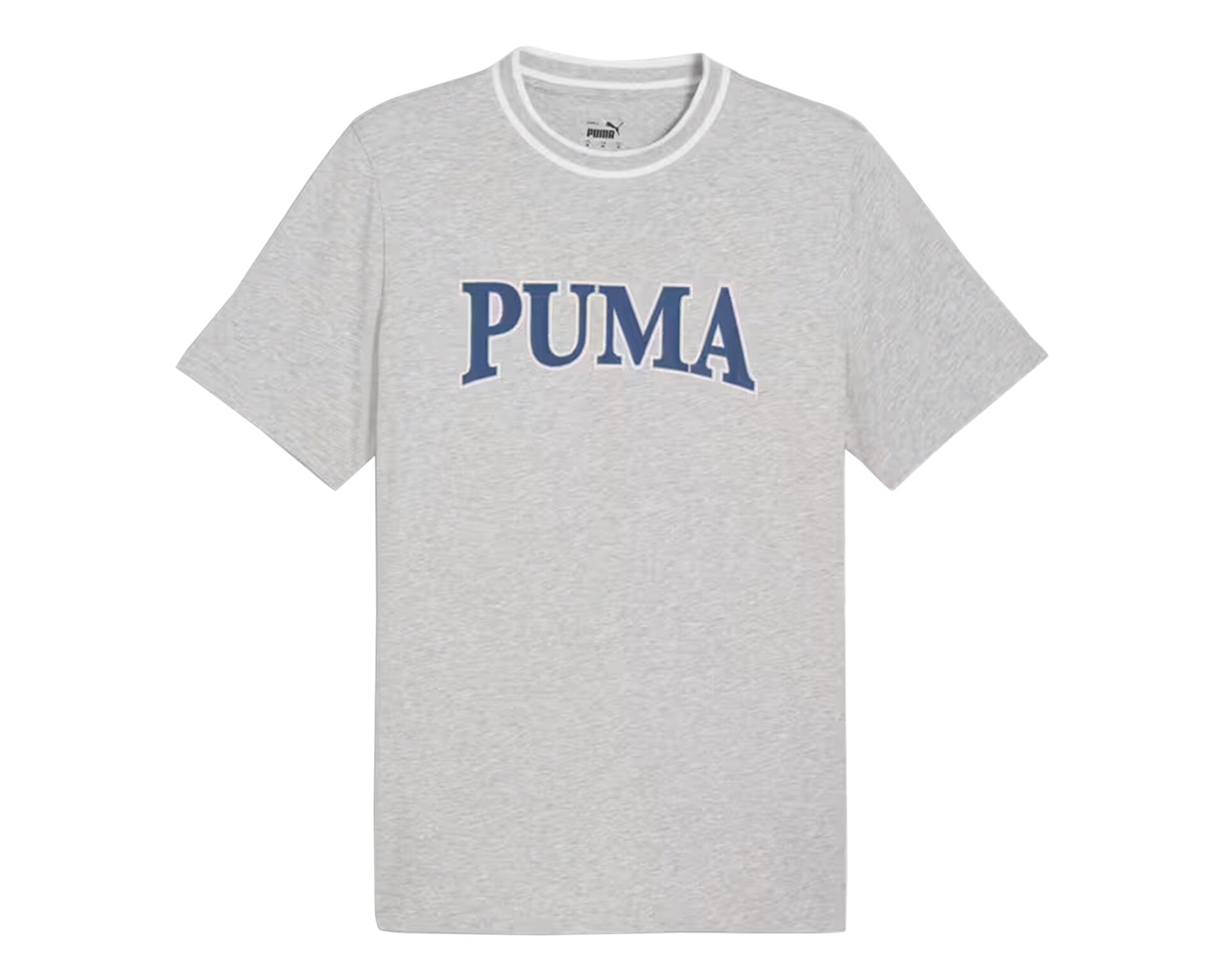 Puma Erkek Puma Squad Graphic Tee Gri 67896704