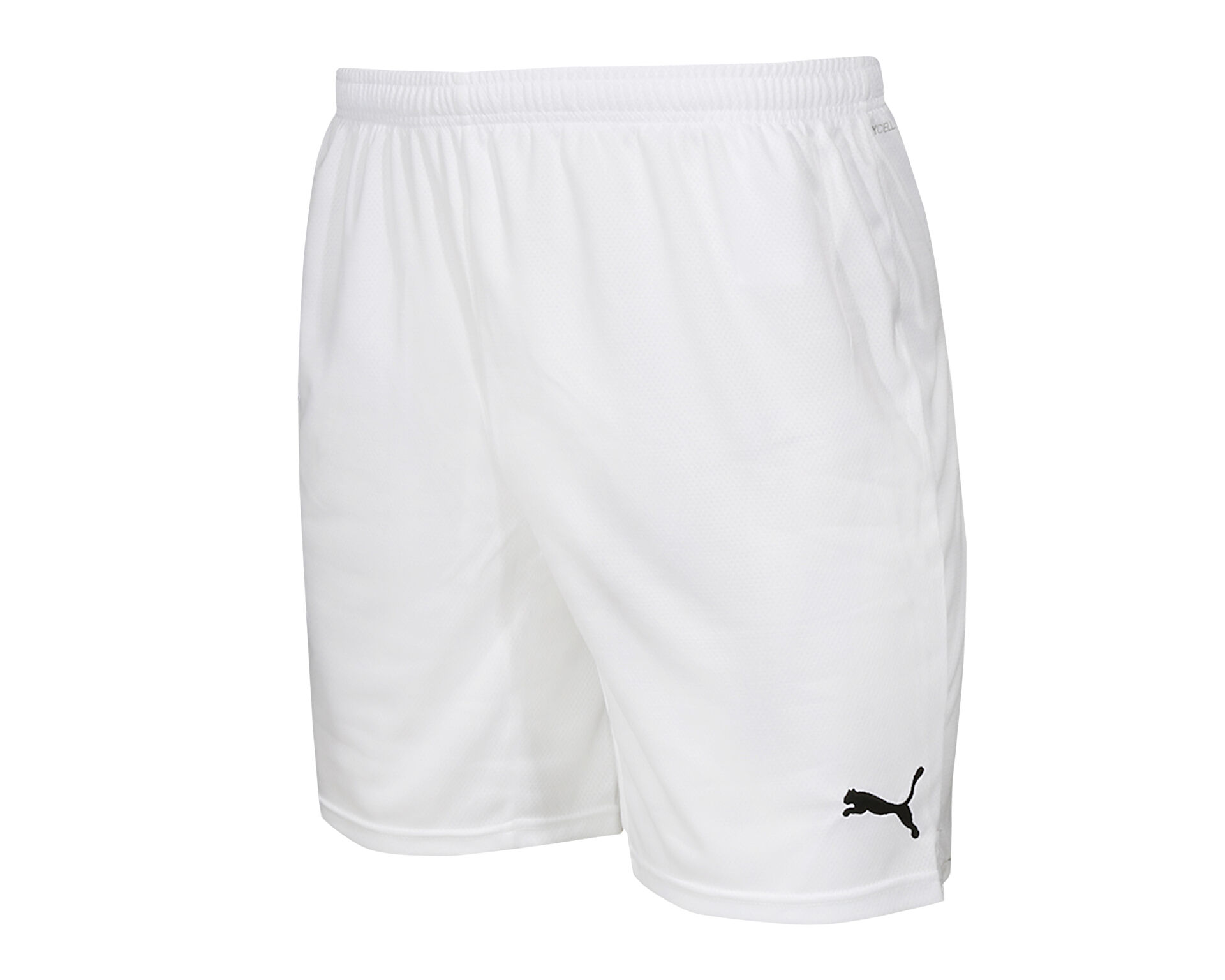 Puma Erkek Smu Turkey Shorts Beyaz 77351704