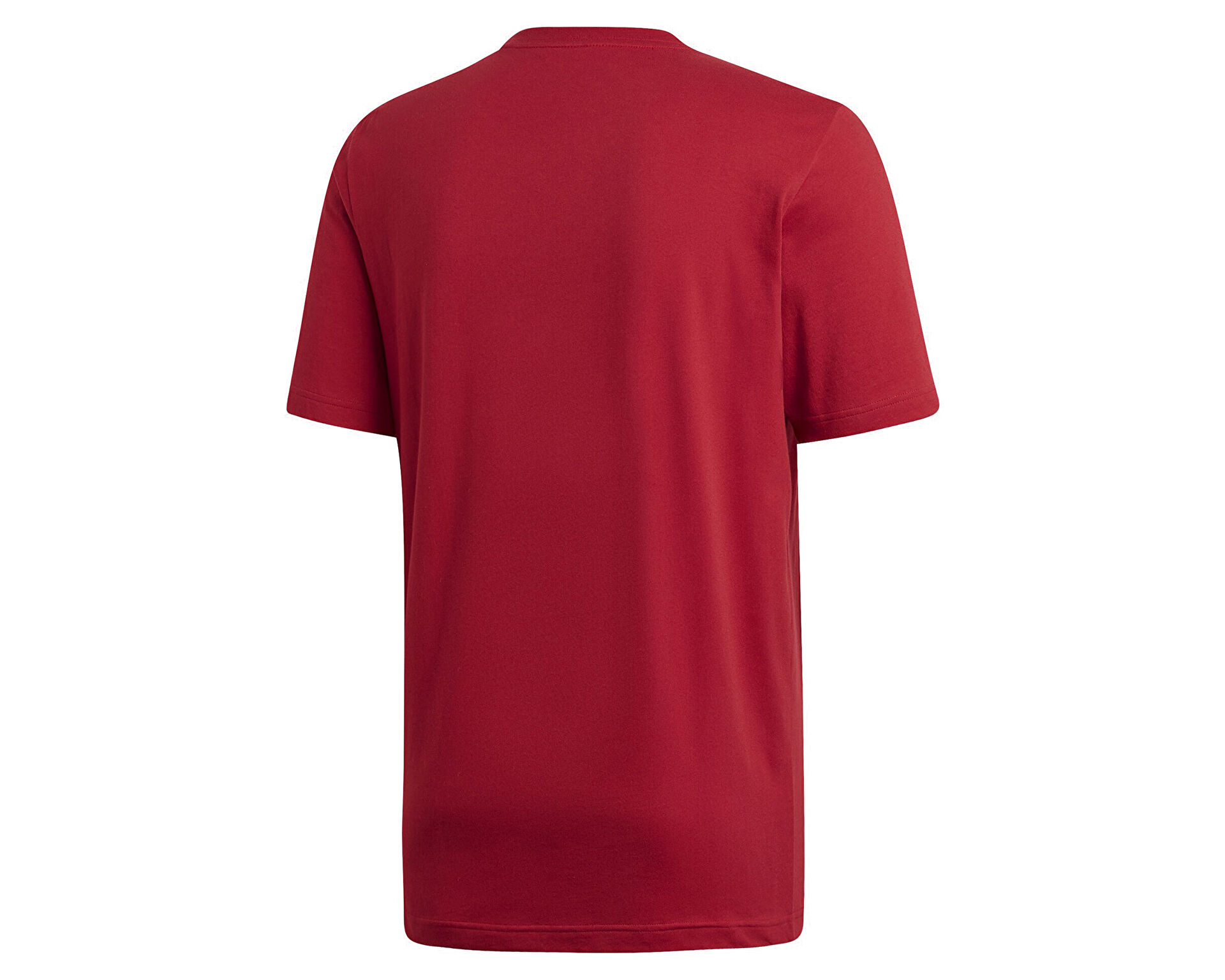 E pln tee store