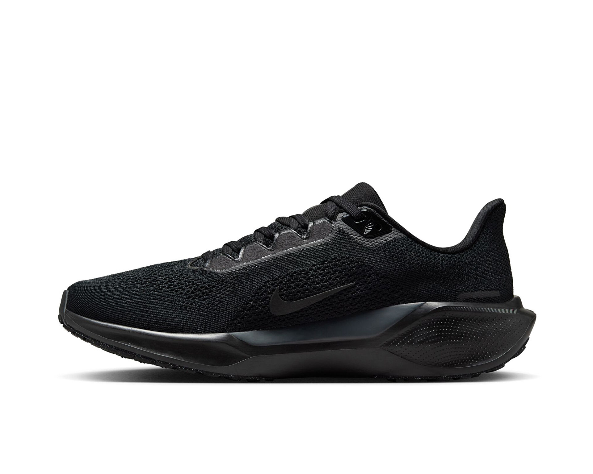 Nike Erkek Pegasus 41 Siyah FD2722 001