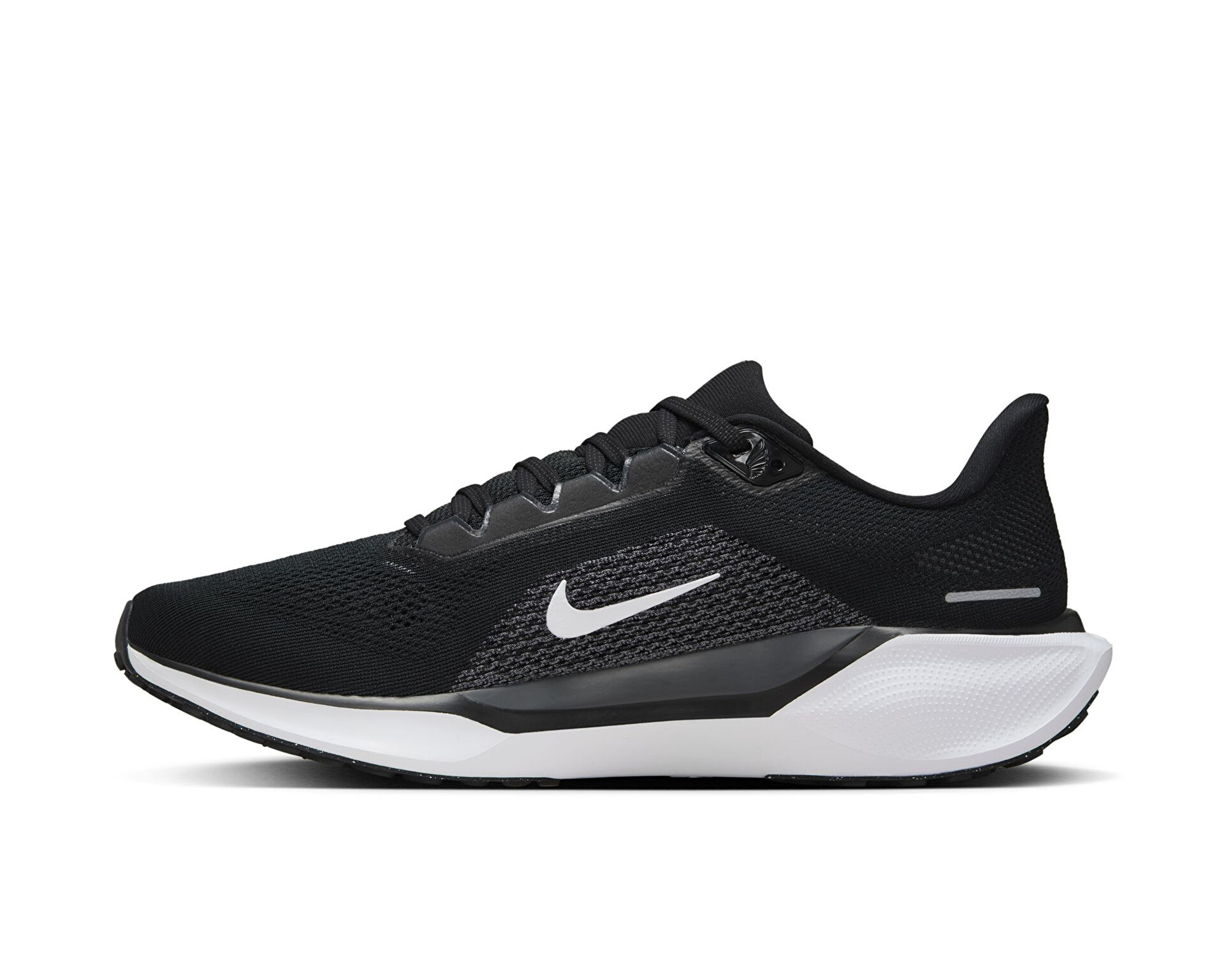 Nike Erkek Pegasus 41 Siyah FD2722 002