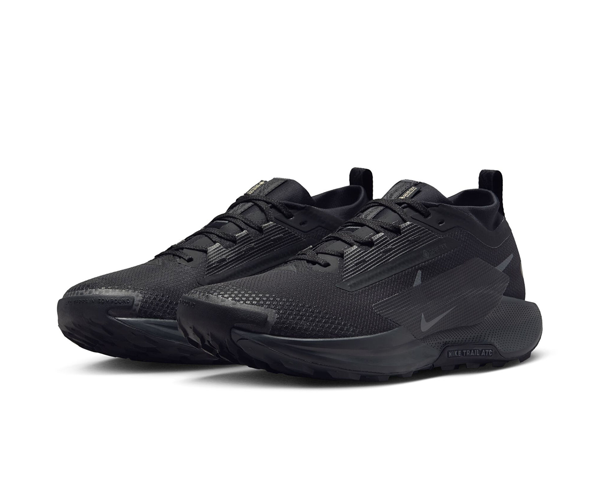 Nike Erkek Pegasus Trail 5 Gore Tex Siyah FQ0908 002