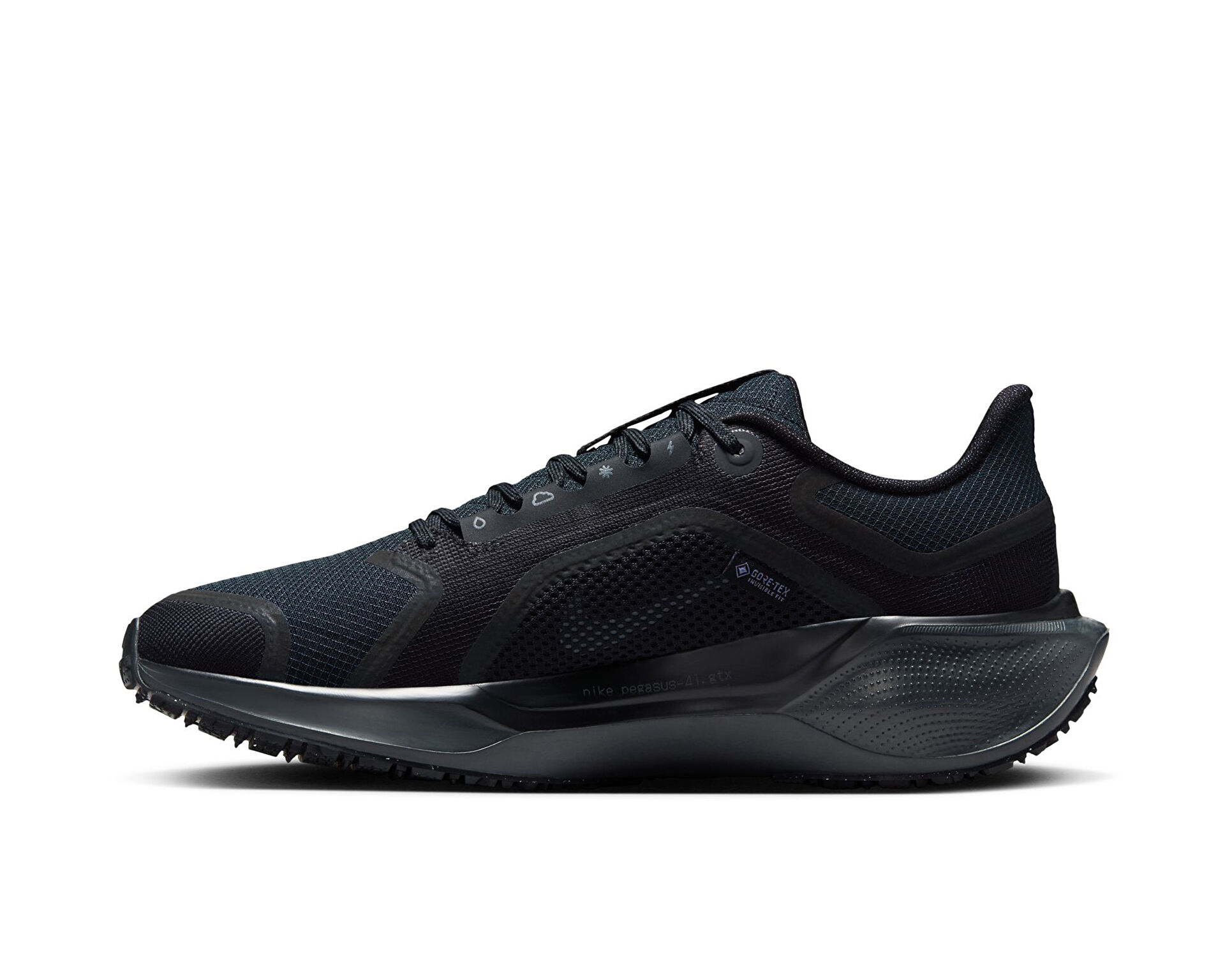 Nike Unisex Pegasus 41 Gore Tex Siyah FQ1357 001