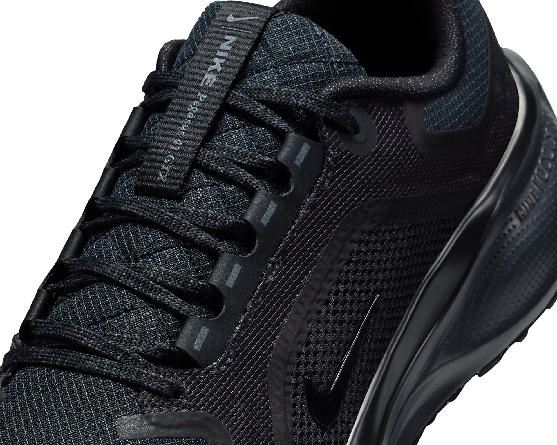 Nike Unisex Pegasus 41 Gore Tex Siyah FQ1357 001