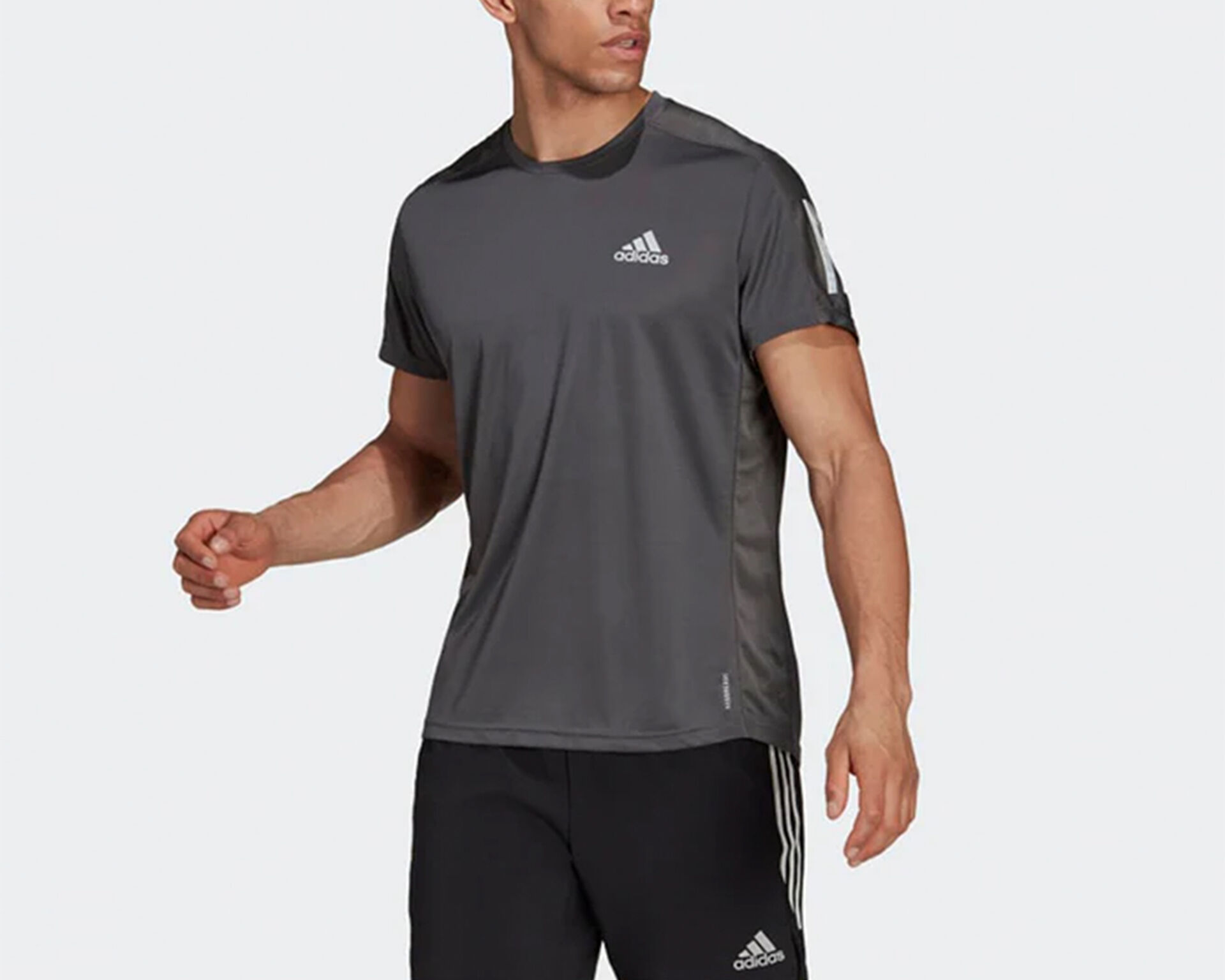 T shirt adidas equitation online
