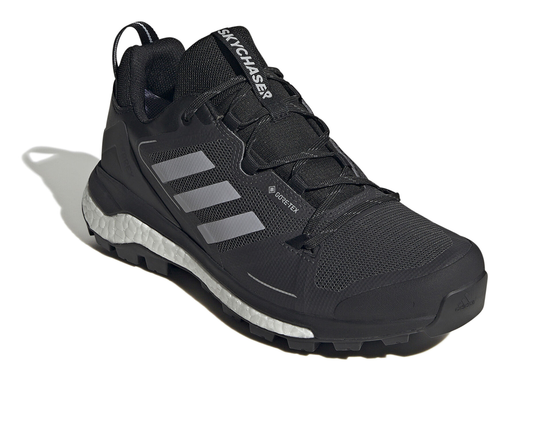 adidas Erkek Terrex Skychaser 2 Gtx Siyah HR1284