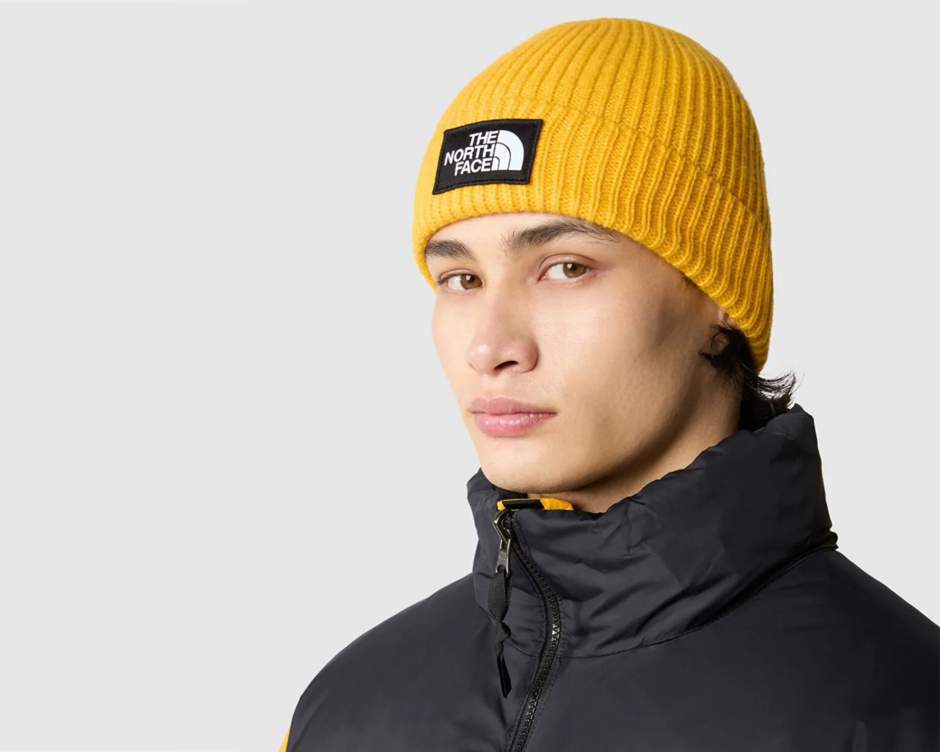 Tnf beanie discount