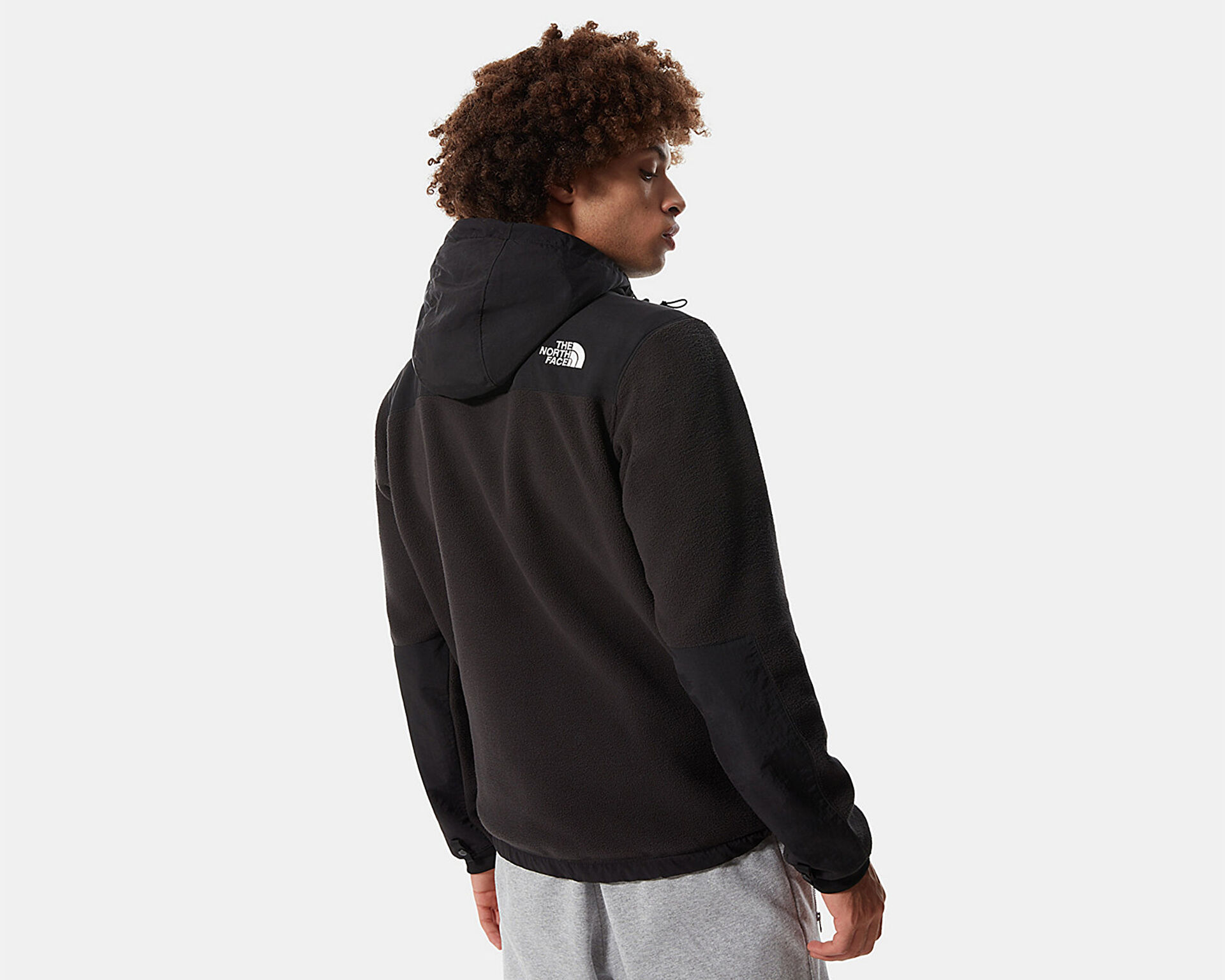 Denali anorak north face online