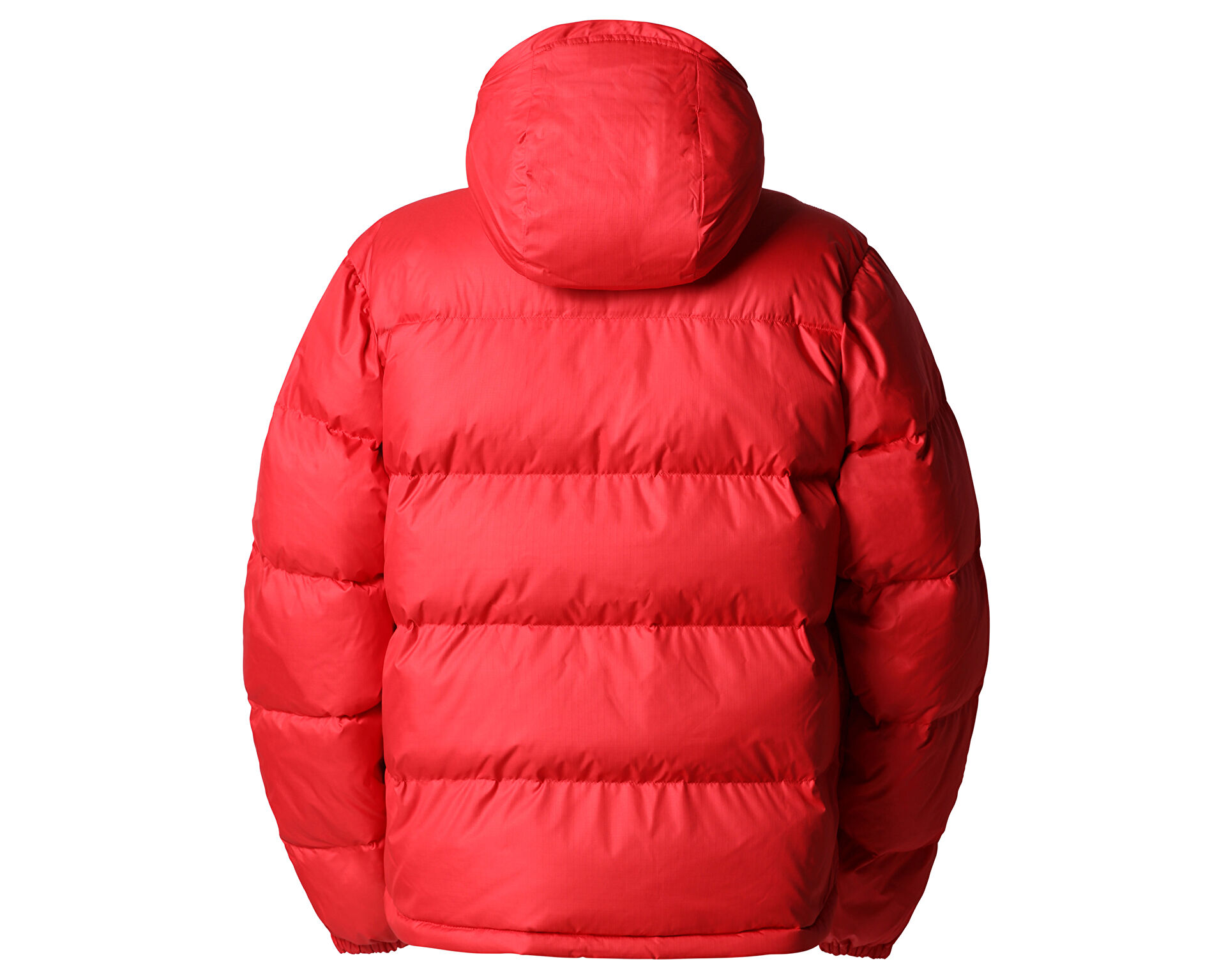 Sierra the 2024 north face