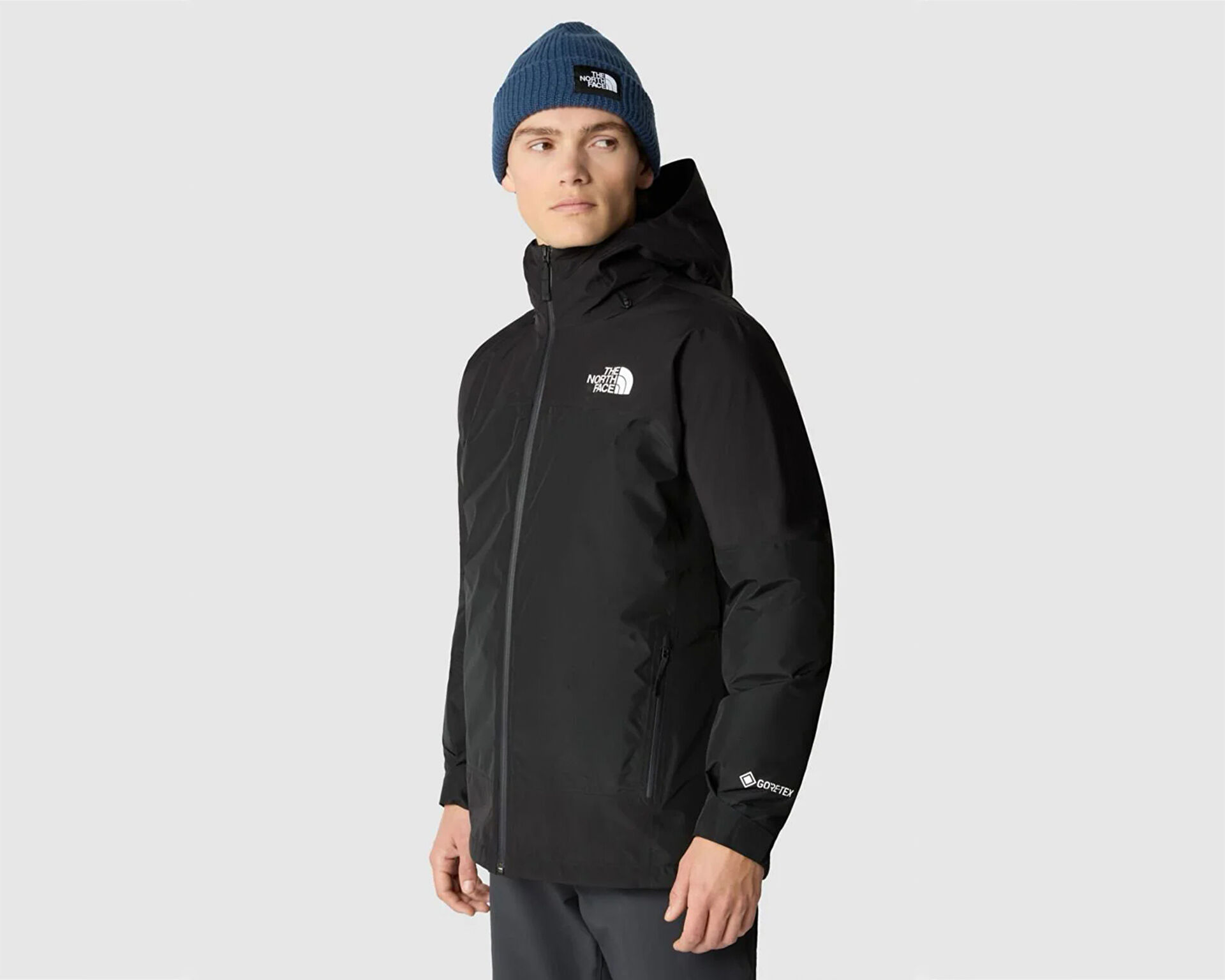 Gtx the 2025 north face