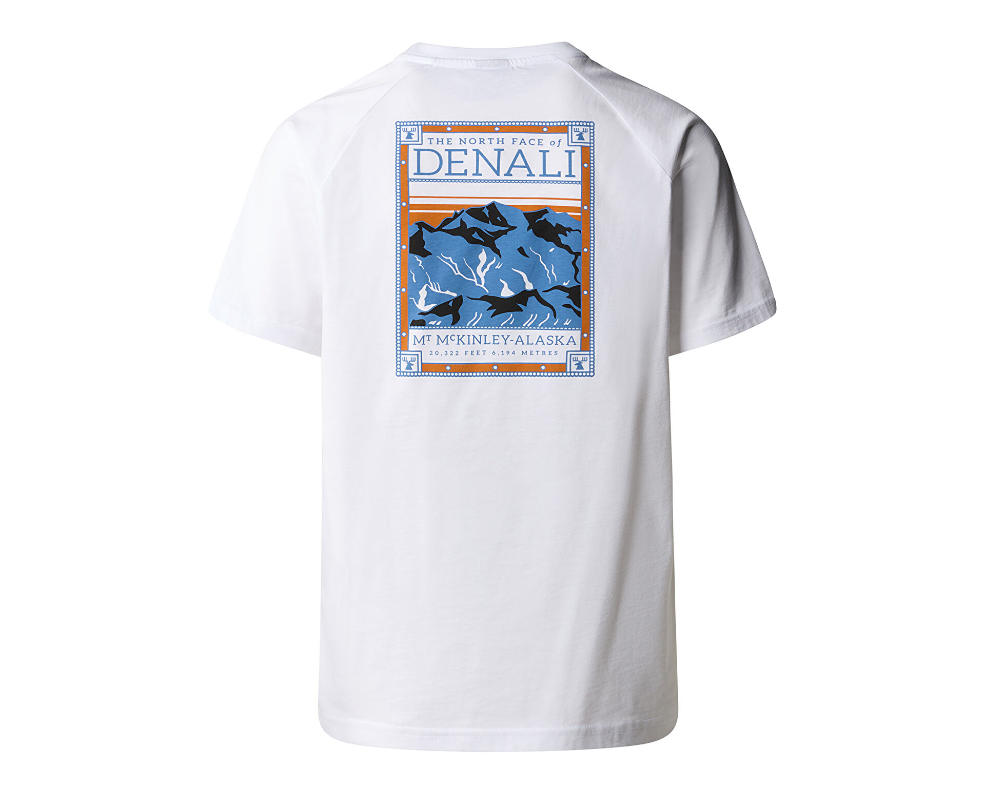 Tシャツ・カットソー THE NORTH FACE 'North Faces' T-shirt (NF0A87NUFN41 NFFN4) ERKEK NORTH FACES TİŞÖRT NF0A87NUFN41 | The North Face