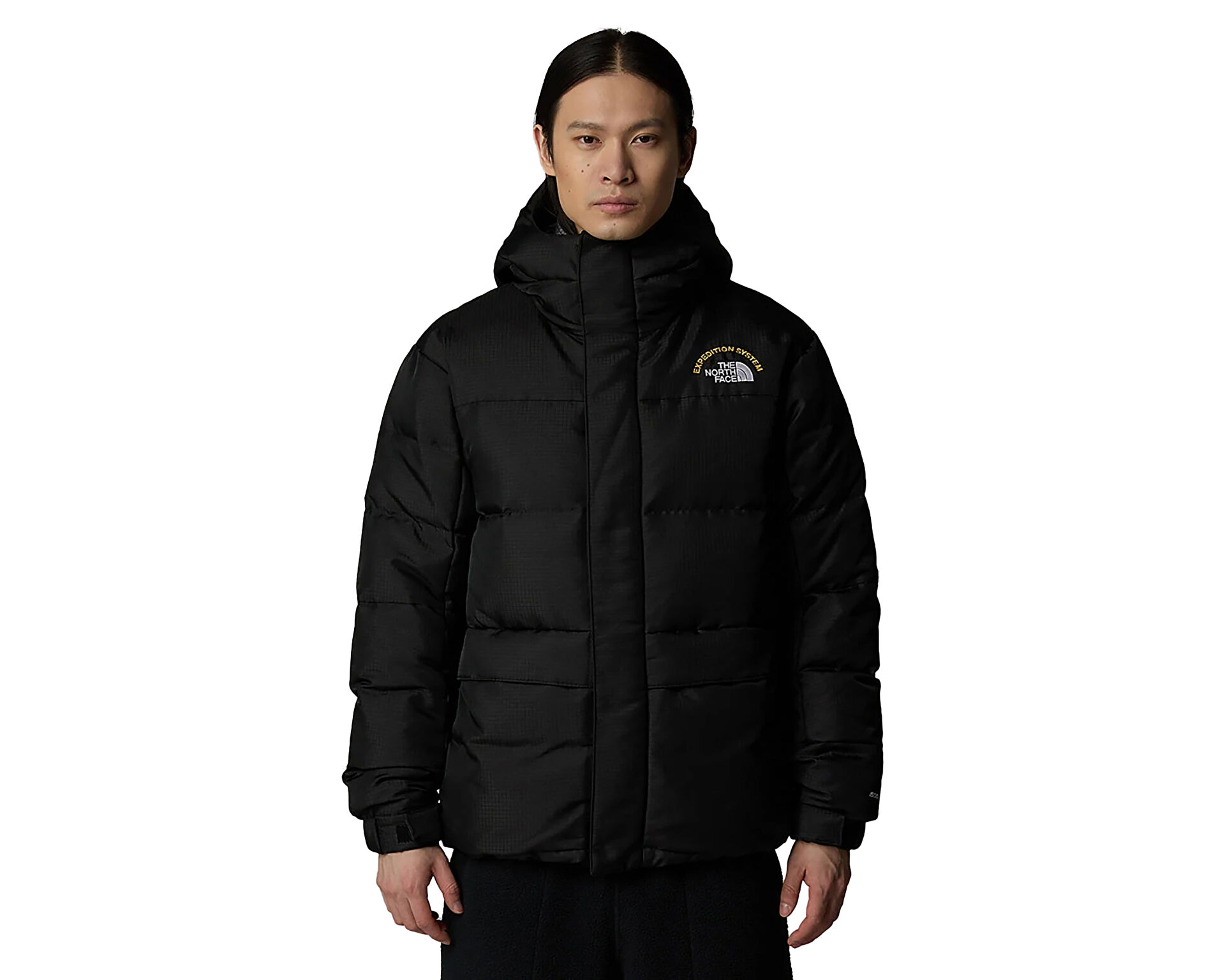 The North Face Erkek M Hmlyn 30 Anniversary Parka Siyah