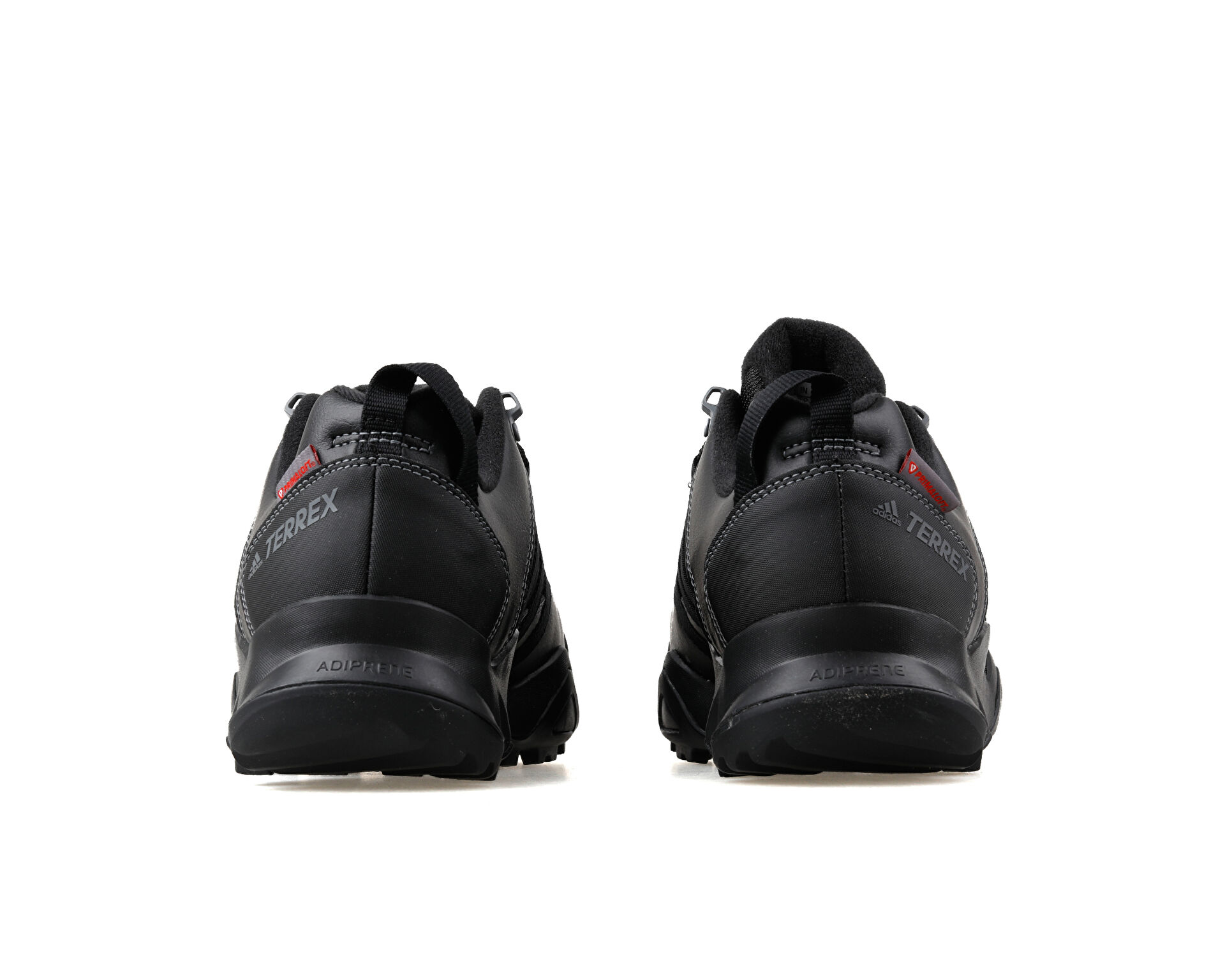 adidas Erkek Terrex Ax2R Beta Cw Siyah S80741
