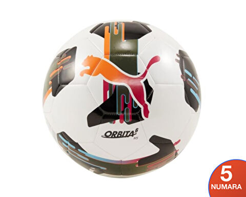 Orbita 6 Ms
