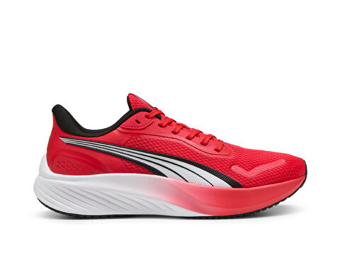 POUNCE LITE