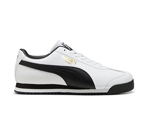 ROMA 24 STANDARD