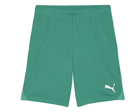Teamgoal Shorts