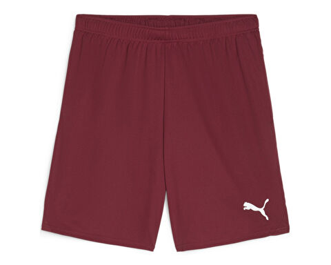 Teamgoal Shorts