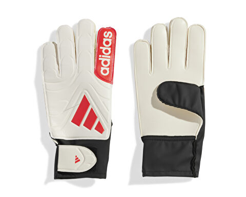 Copa Gl Clb