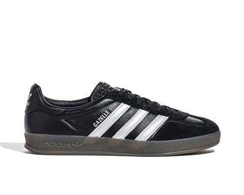 Gazelle Indoor