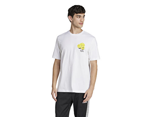 M L SL LEMON T