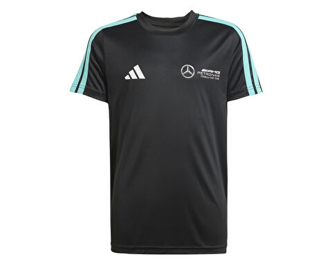 MER DNA TEE Y