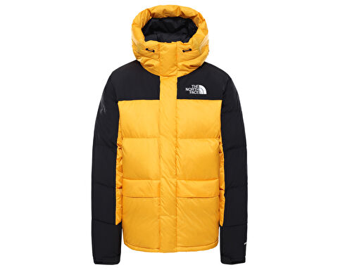 The north face men's shielder down parka discount