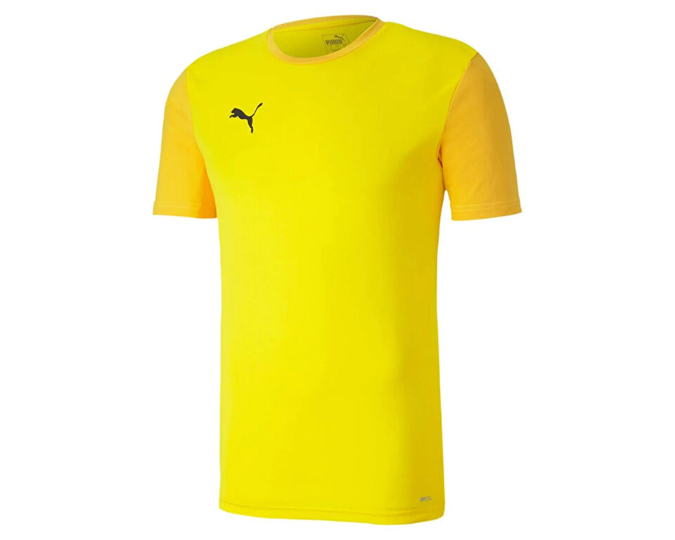 Puma Teamgoal 23 Sideline Tee Erkek Futbol Antrenman Tişörtü 65648407 Sarı